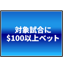 対象試合に100以上ベット